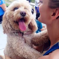 Sitter Profile Image: Laura P.