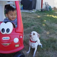 Sitter Profile Image: Rhonil G.