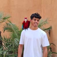 Photo de profil du pet sitter : Rayan M.