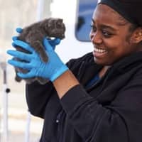 Sitter Profile Image: Tatiana P.