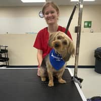 Sitter Profile Image: Zoey S.