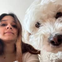 Sitter Profile Image: Denisse C.