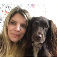 Sitter Profile Image: Alison H.