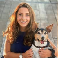 Sitter Profile Image: Delphi B.