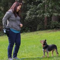 Sitter Profile Image: Wendy W.