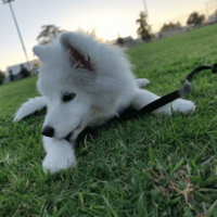 Sitter Profile Image: Jimmy L.