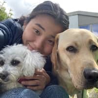 Profilbilde av hundepasser: Jenny K.