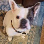 Sitter Profile Image: Velma W.