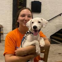 Sitter Profile Image: Cassidy K.