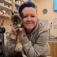 Sitter Profile Image: Brett S.