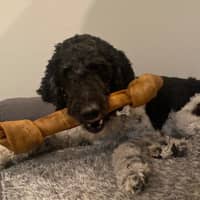 Sitter Profile Image: Sarah P.