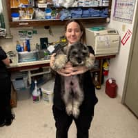 Sitter Profile Image: Hannah H.