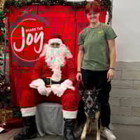 Sitter Profile Image: Scout B.