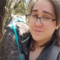 Sitter Profile Image: Brienne H.