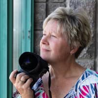 Sitter Profile Image: Shelley C.