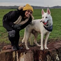 Sitter Profile Image: Amy T.