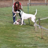 Photo de profil du pet sitter : Sandy M.