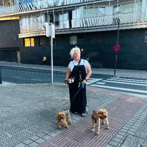 Sitter Profile Image: Zully I.