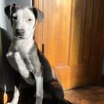 Sitter Profile Image: Jessica M.