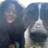 Sitter Profile Image: Collene H.