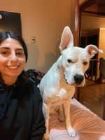 Sitterprofilbild: maria jose m.