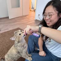 Sitterprofilbild: Ruyue W.