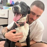 Foto del cuidador: francesco l.