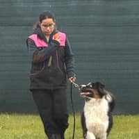 Immagine del profilo del sitter: Sonia C.