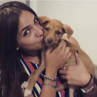 Foto de perfil del cuidador: Analia F.