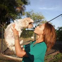 Sitter Profile Image: Lyndsey J.