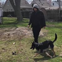 Sitter Profile Image: Andrew O.