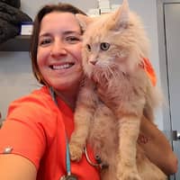 Sitter Profile Image: Carolane D.