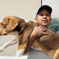 Sitter Profile Image: Manik M.