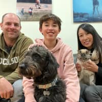 Sitter Profile Image: Kyle & Yukiko R.