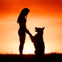 Sitter Profile Image: Swathi K.