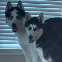 Sitter Profile Image: Anastasia J.