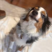 Sitter Profile Image: kattie y.