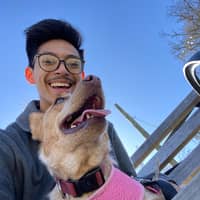 Sitter Profile Image: Ivan N.