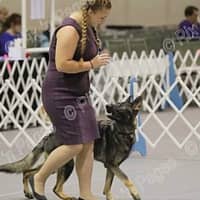 Sitter Profile Image: Krista B.