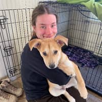 Sitter Profile Image: Carol B.