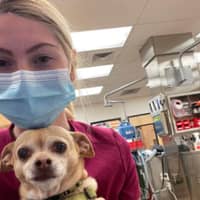 Sitter Profile Image: Madison M.