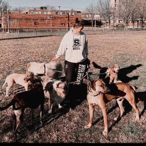 Sitter Profile Image: Masha D.