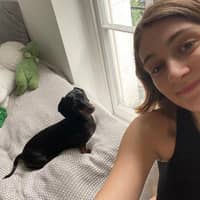 Sitter Profile Image: Sofie H.