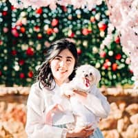 Sitter Profile Image: Subin Y.
