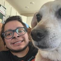 Sitter Profile Image: Fern H.