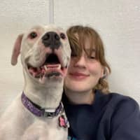 Sitter Profile Image: Lindsey T.