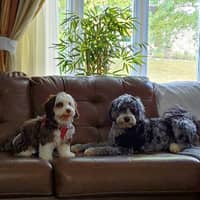 Sitter Profile Image: Eunmi J.