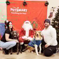 Sitter Profile Image: Faith F.