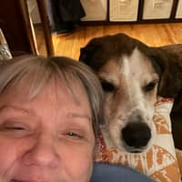 Sitter Profile Image: Amy M.