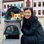 Sitter Profile Image: Harn Jun G.